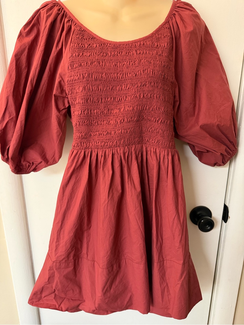 Smocked Puff-Sleeve Mini Dress in Brick Red Retail $198